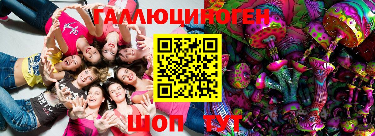 Псилоцибиновые грибы GOLDEN TEACHER Москва