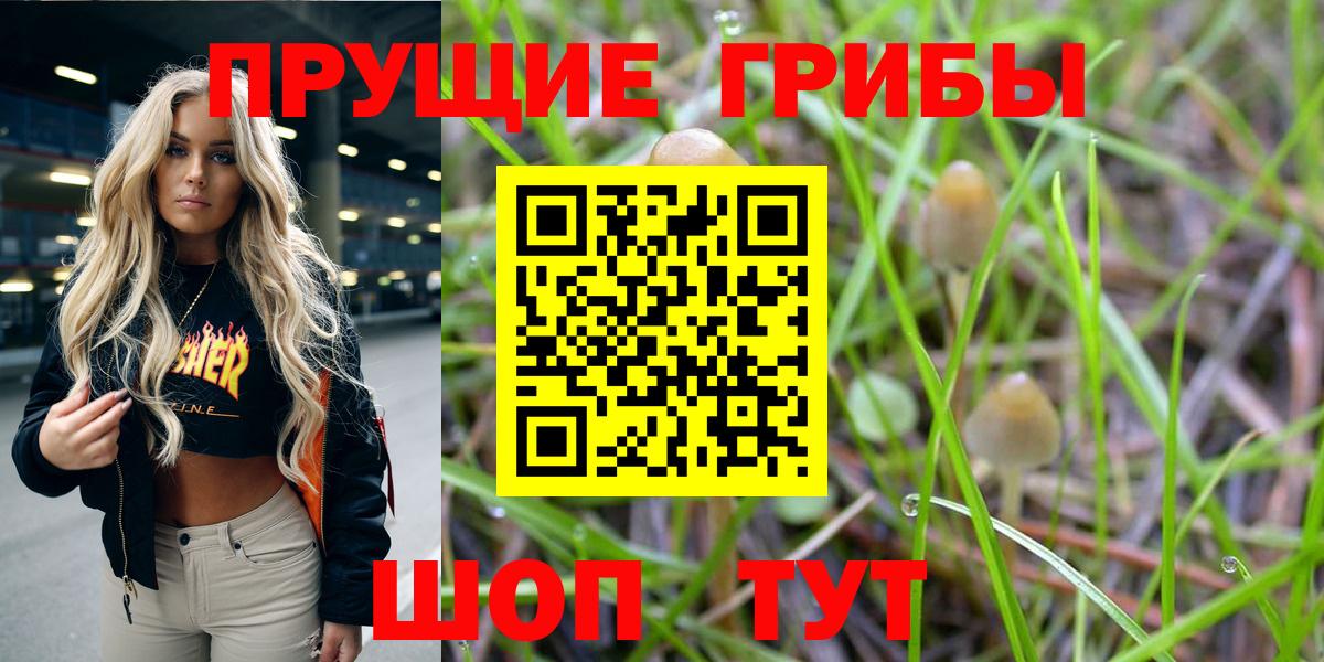 Москва  Псилоцибиновые грибы прущие грибы  хочу наркоту  Вход с VPN 